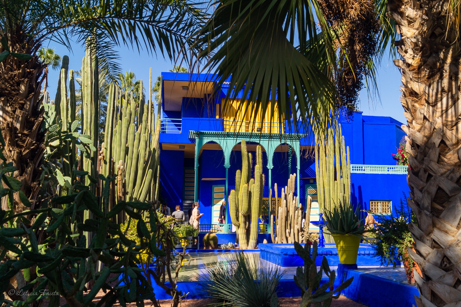 Giardini Majorelle